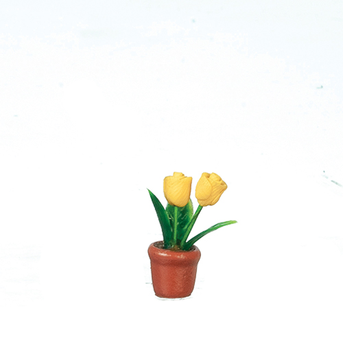 Tulip in Pot, Yellow